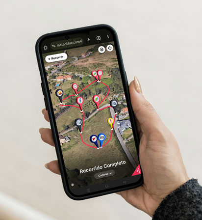 Terre3 Branding, Web & App